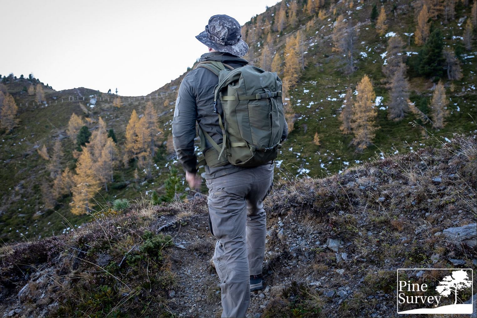 Pine Survey Review: TT Sentinel 28 and TT Sentinel 40 by Tasmanian Tiger